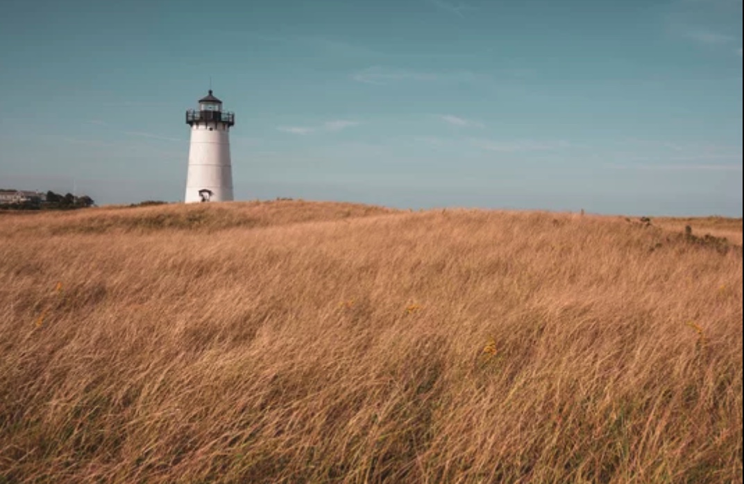 Edgartown lighthouse in golden meadow, Martha's Vineyard